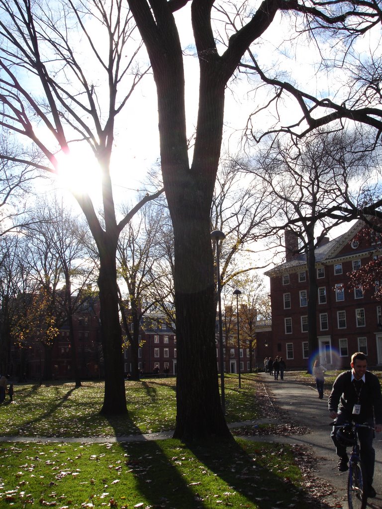 Harvard Yard by ugueth