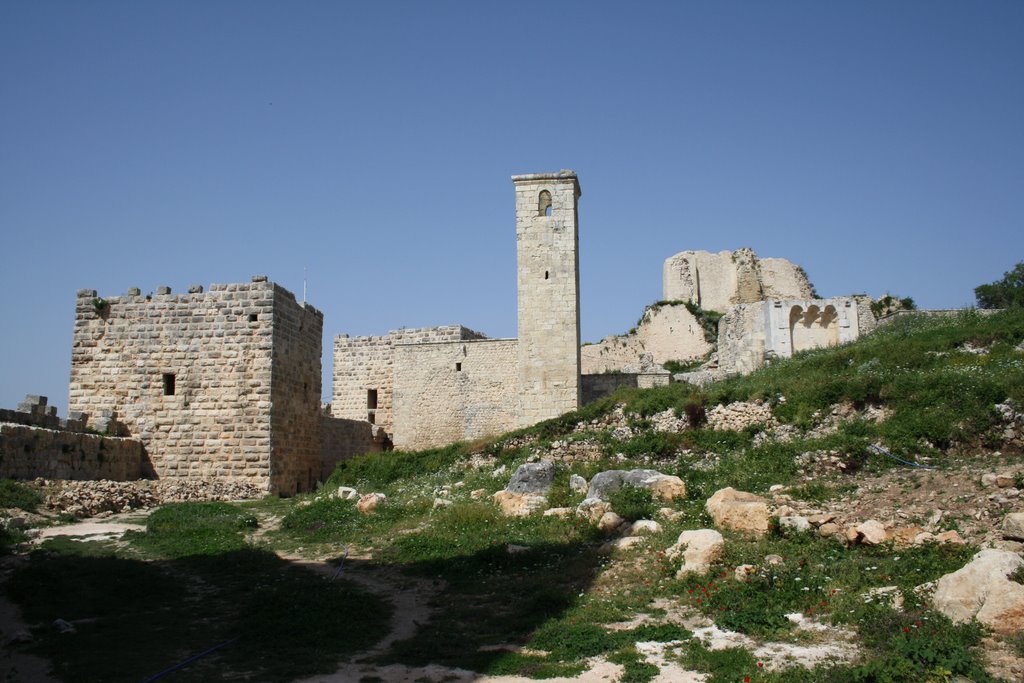 Saladins Castle by henrivandeputte