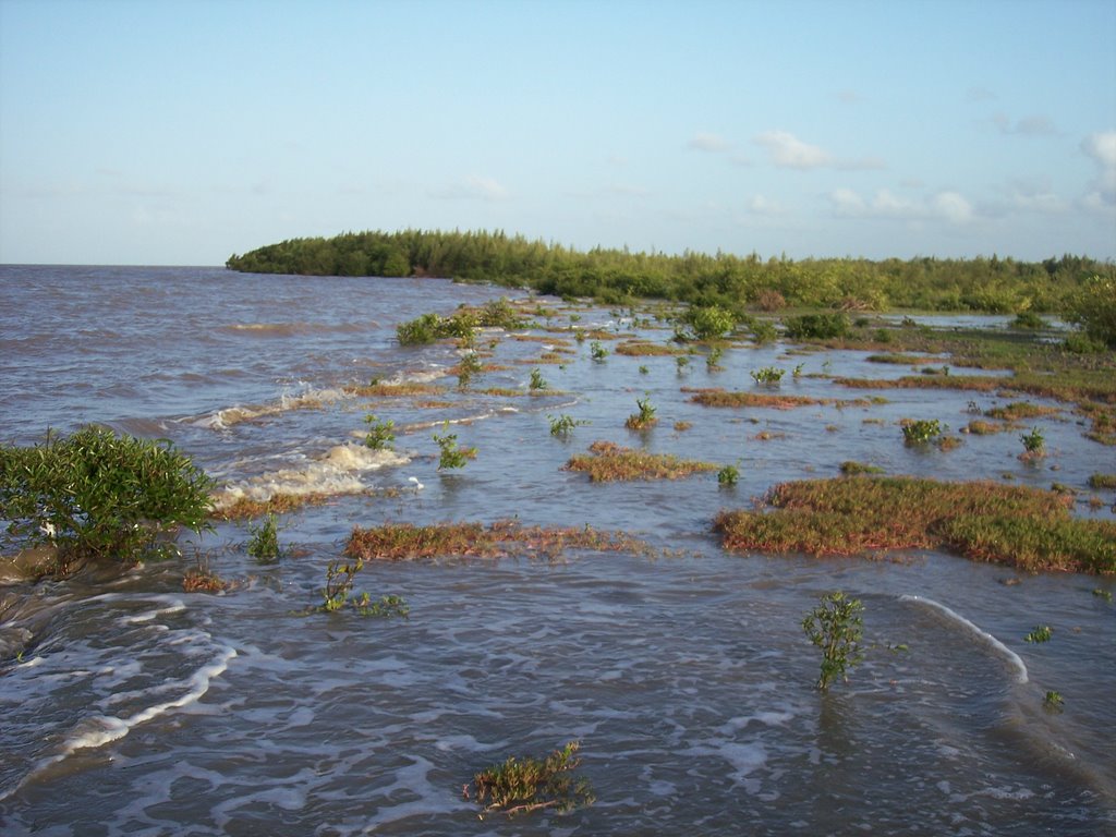 Rose Hall Foreshore at High Tide by Michael L. Hackett