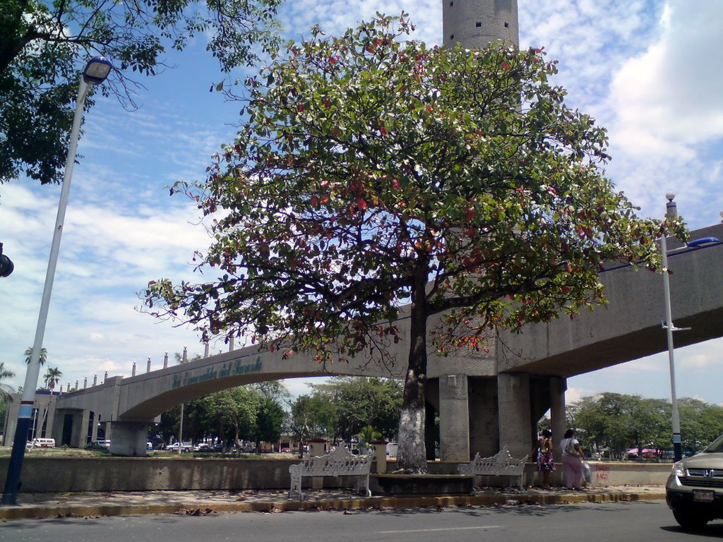 Bridge In The City by Harry Alberto Moreno Torres