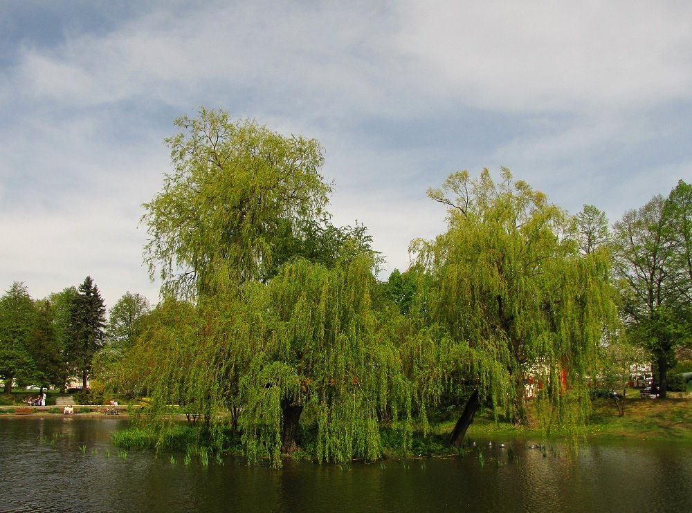 Park Miejski im. Książąt Pomorskich by fajna_asia