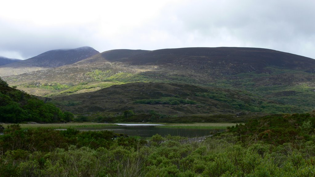 Longe Range River - Killarney National Park (Ireland) by jasonvy7