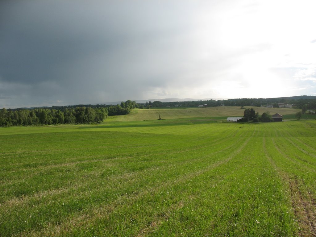 Fields in Ås Near Pentagon by ajkarloss