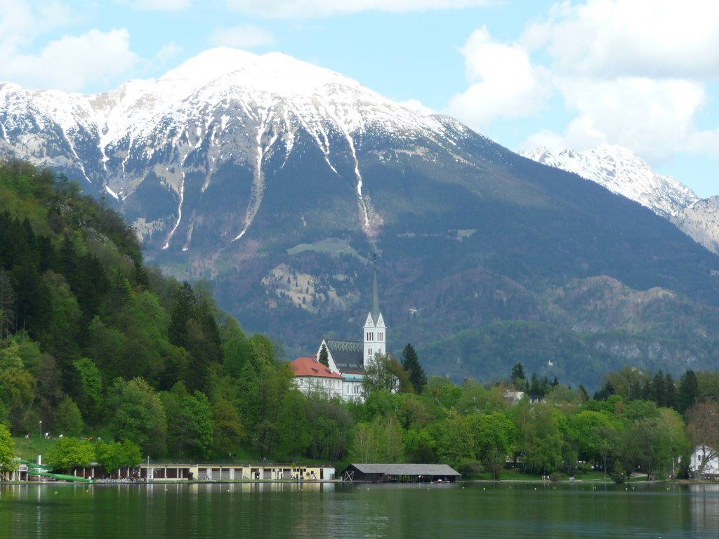 4260 Bled, Slovenia by Victoria Frolova