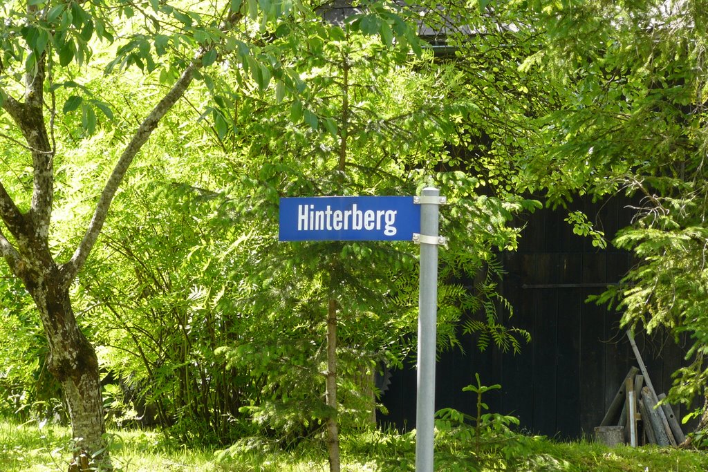 Hinterberg. by A Davies