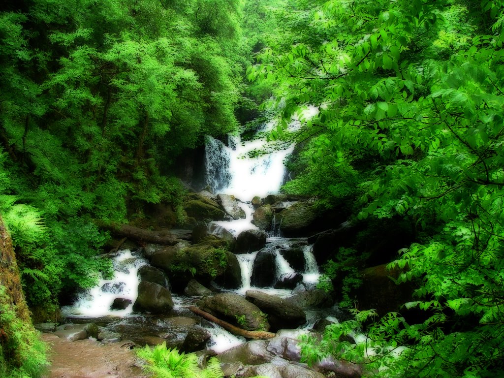 Muckross House falls by billybuntingskid