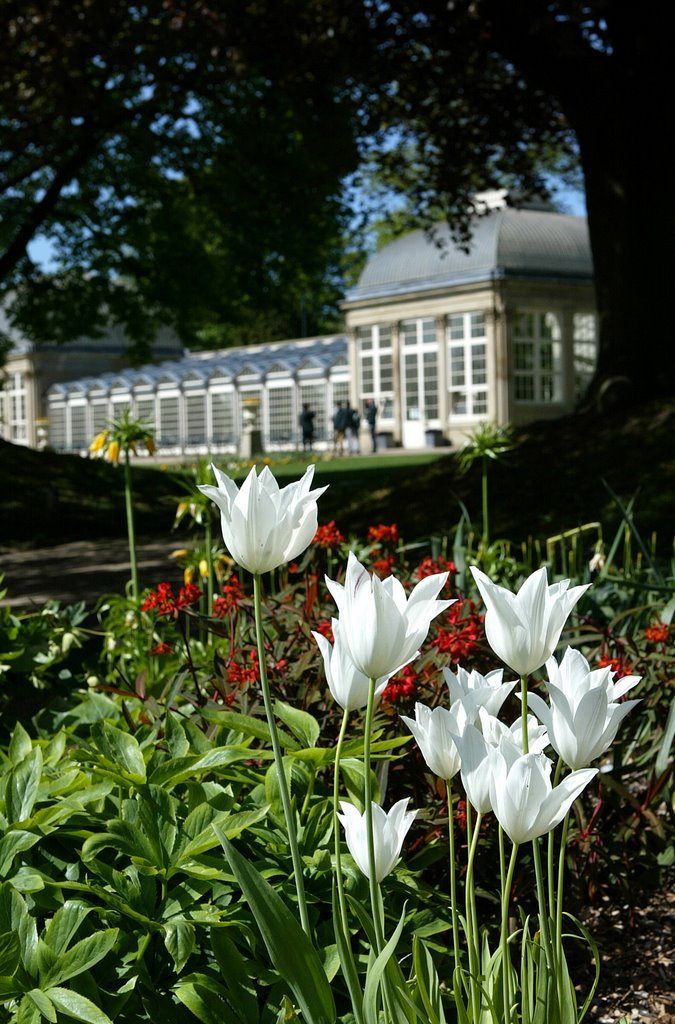 Sheffield Botanical Garden by Ian Spooner