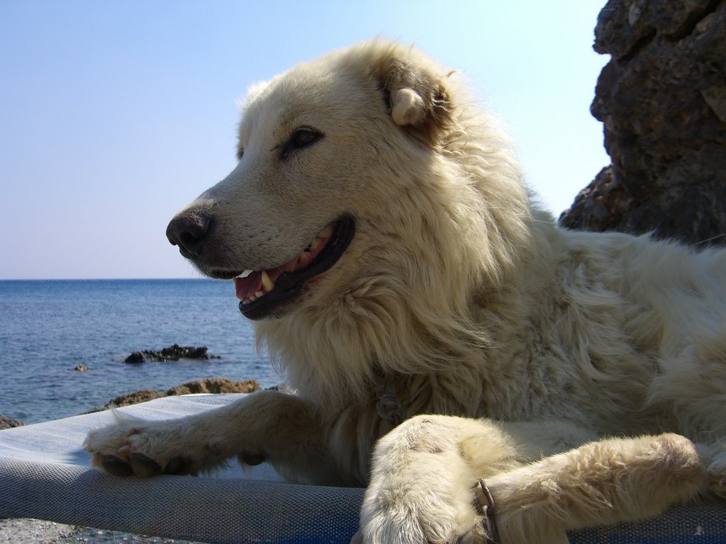 Ag.fotini beach "footi relaxing" by dvdvidar