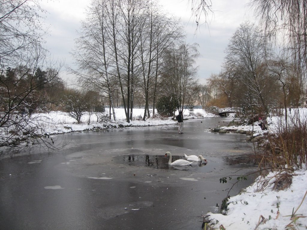 Walking in the floe - Lost Lagoon creek by sergiotrindade