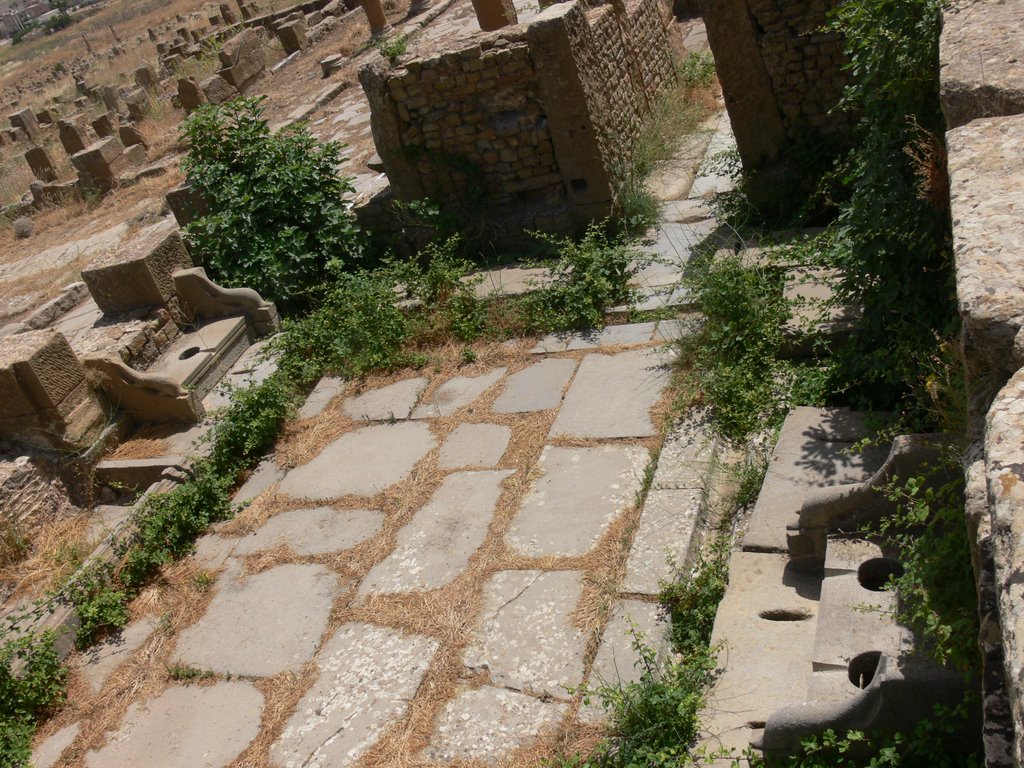 Balnearios Publicos em Timgad by Castor Sereno