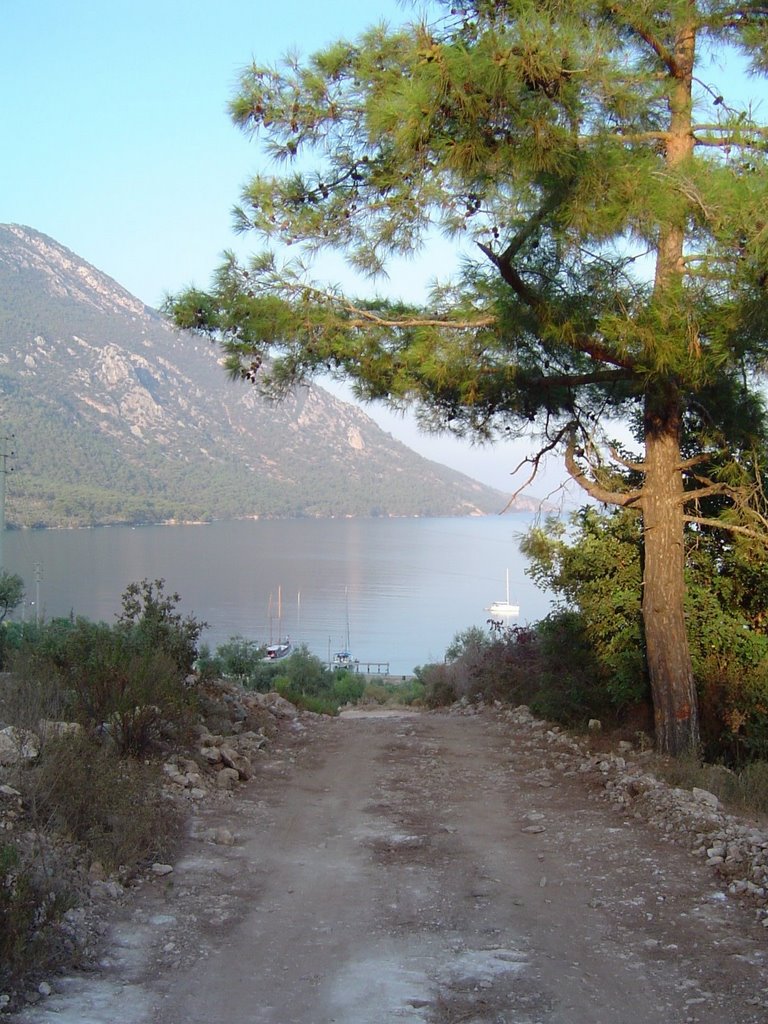 SAFARI ROAD AKBUK TURKEY by oneraltas