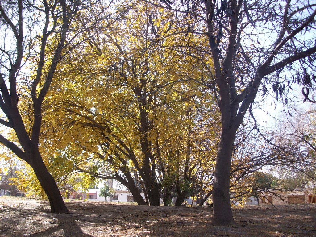 Al lado del canal en otoño. (foto: Frank Boore).- by Frank Boore