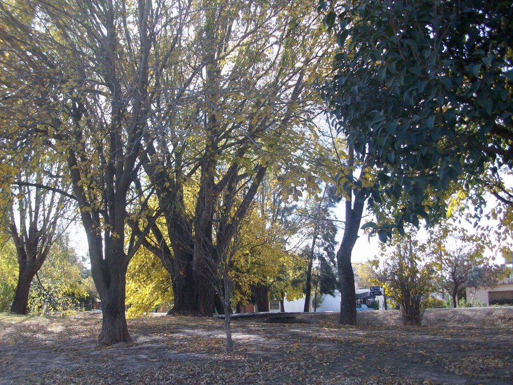 Al lado del canal en otoño. (foto: Frank Boore).- by Frank Boore