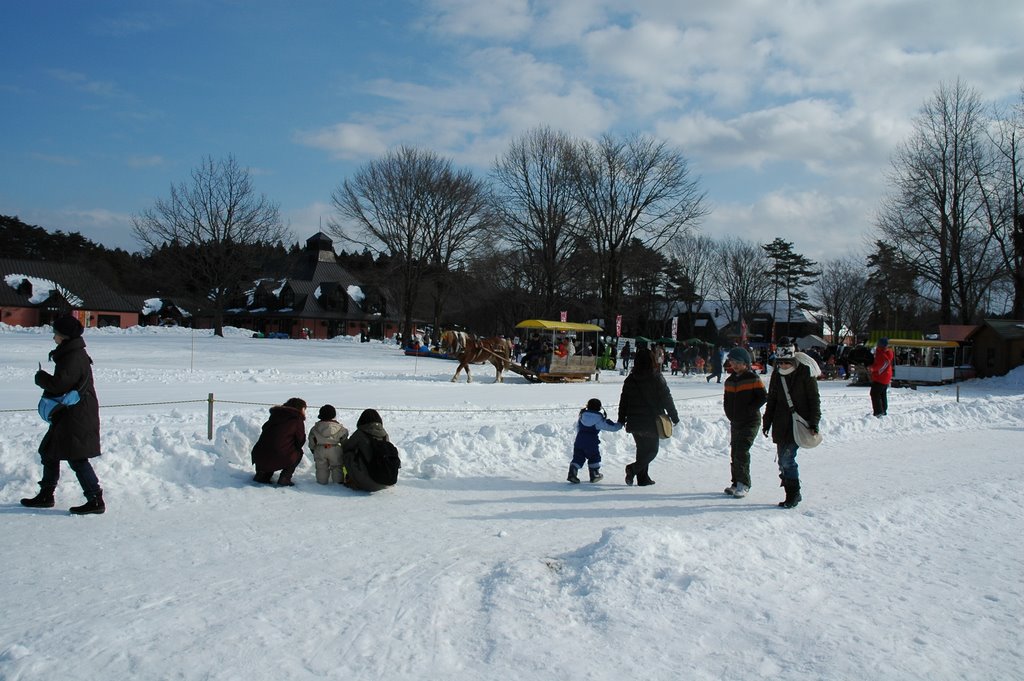 雪祭り2('09.2.7)the snow festival of Koiwai farm by Mikochan