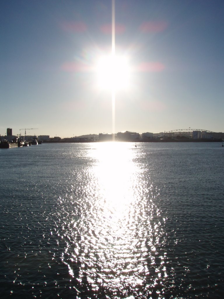 Late afternoon at Princes Wharf - Auckland, New Zealand by Sonya Brunt