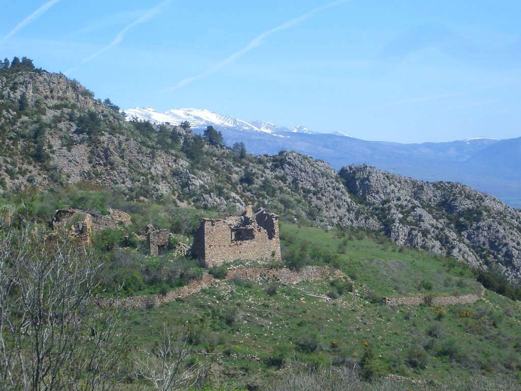 Parc del Cadí by licehunter2