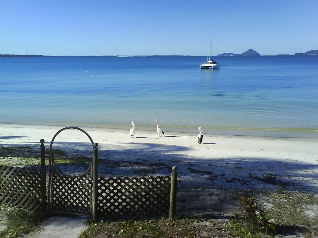 Sunrise Beach, Soldiers Point by jsheffield