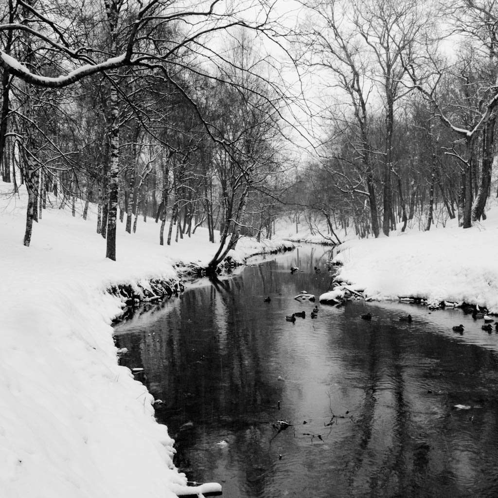 Zolotuha river by Nikolay “voronartcom…