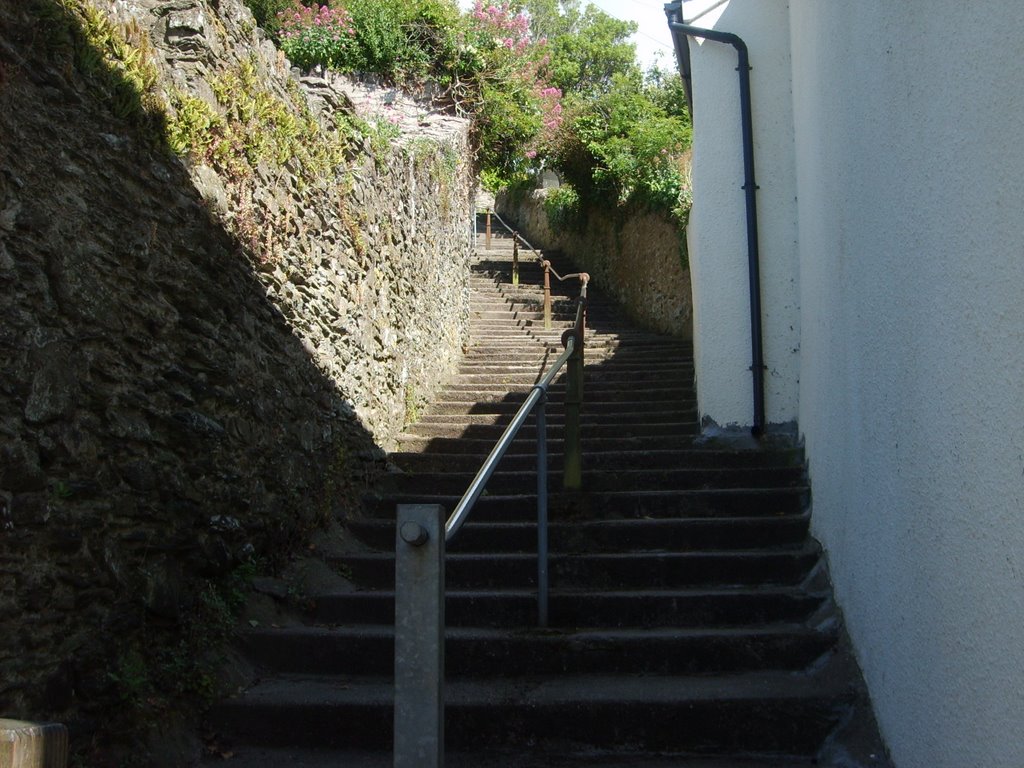 Steps in East Street, Braunton, June 09 by sarahjwilson