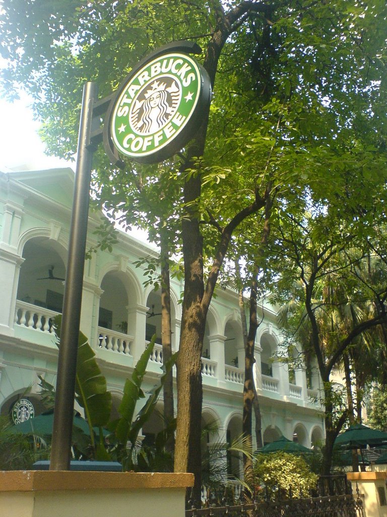 沙面starbucks by Allen Xie