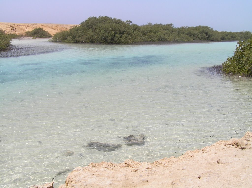 Penisola del Sinai - Laguna delle Mangrovie by Willyco