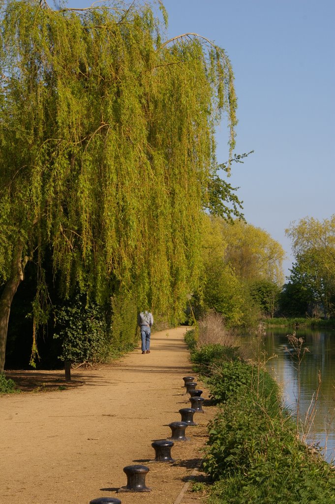 Beckside in spring by jimnhils