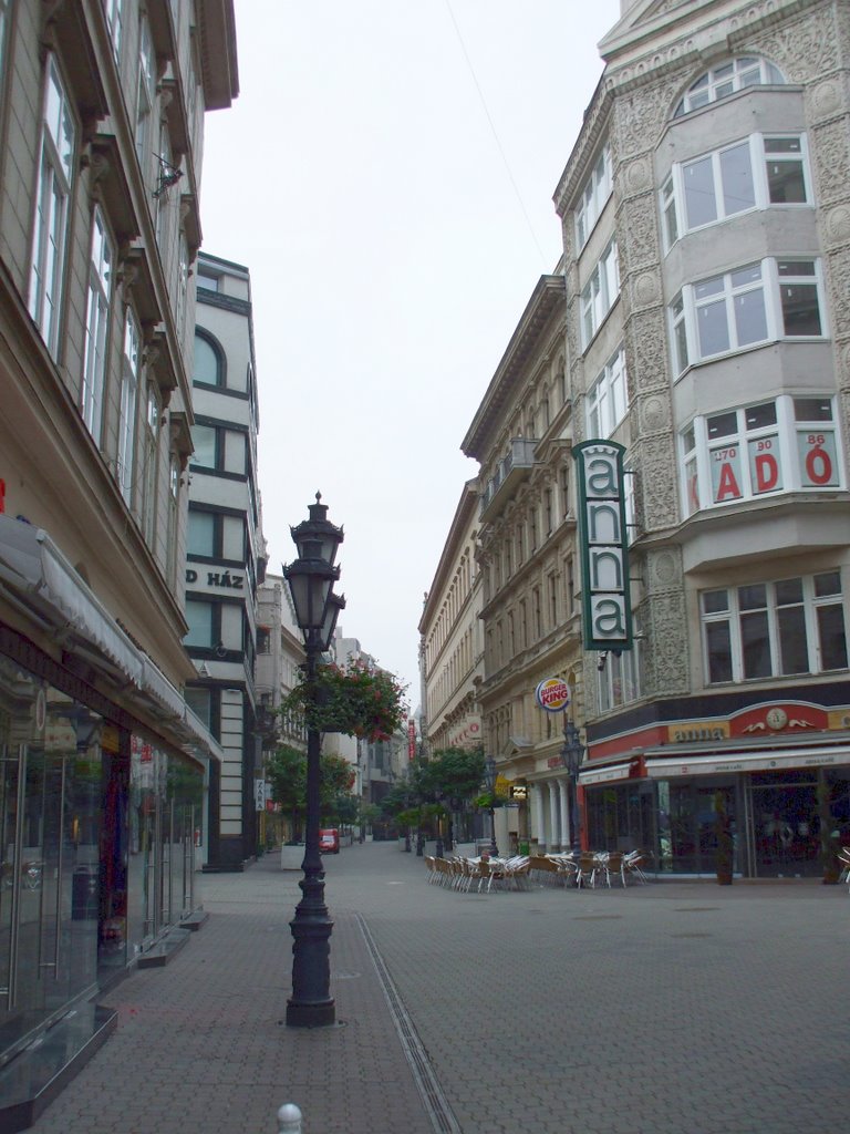 Budapest, V. kerület, Váci utca, a Vörösmarty tér felől, 2009 június 27--06.34 by Vastalicska