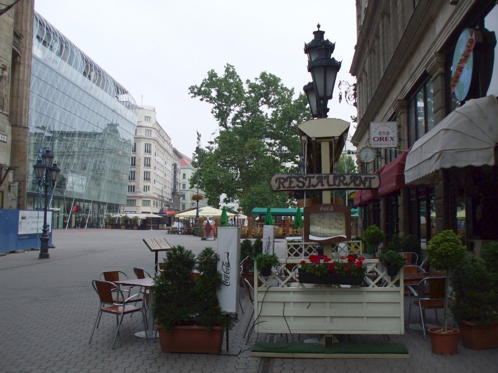 Budapest, V. kerület, Vörösmarty tér, a Váci utca felől, 2009 június 27--06.34 by Vastalicska