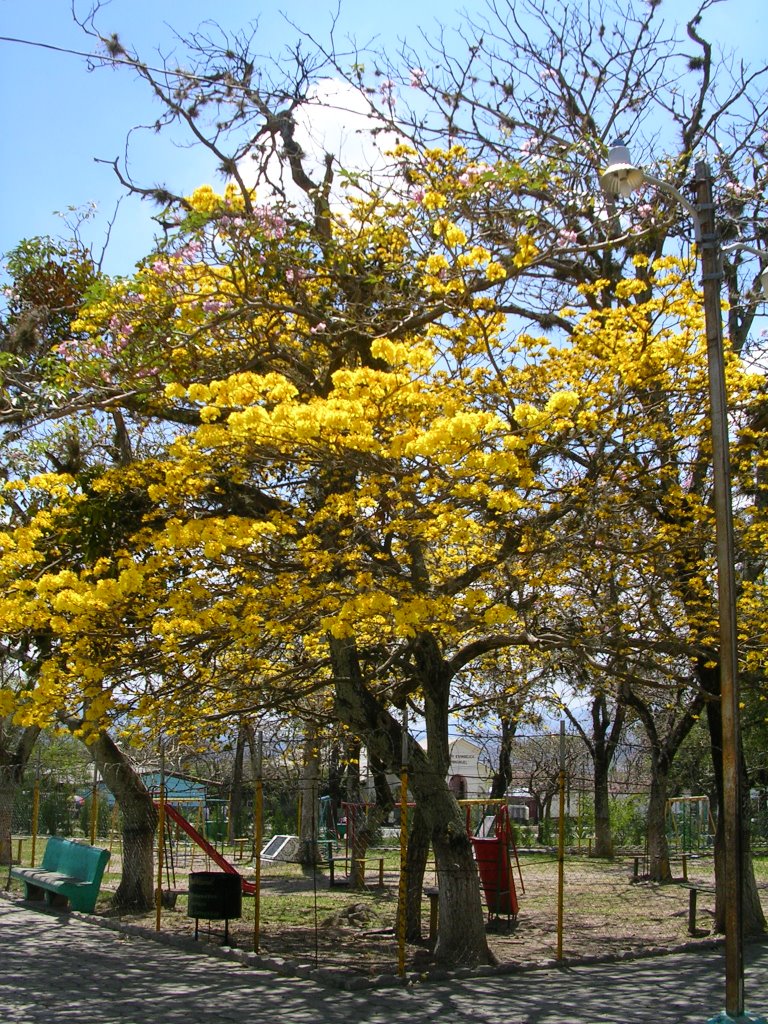 Ocotepeque's colours by Jorge Peña G