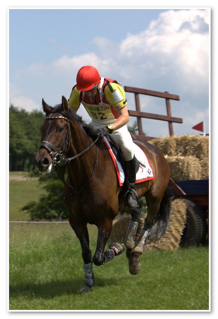 Bramham Horse Trials (82) by Craig Wilkinson