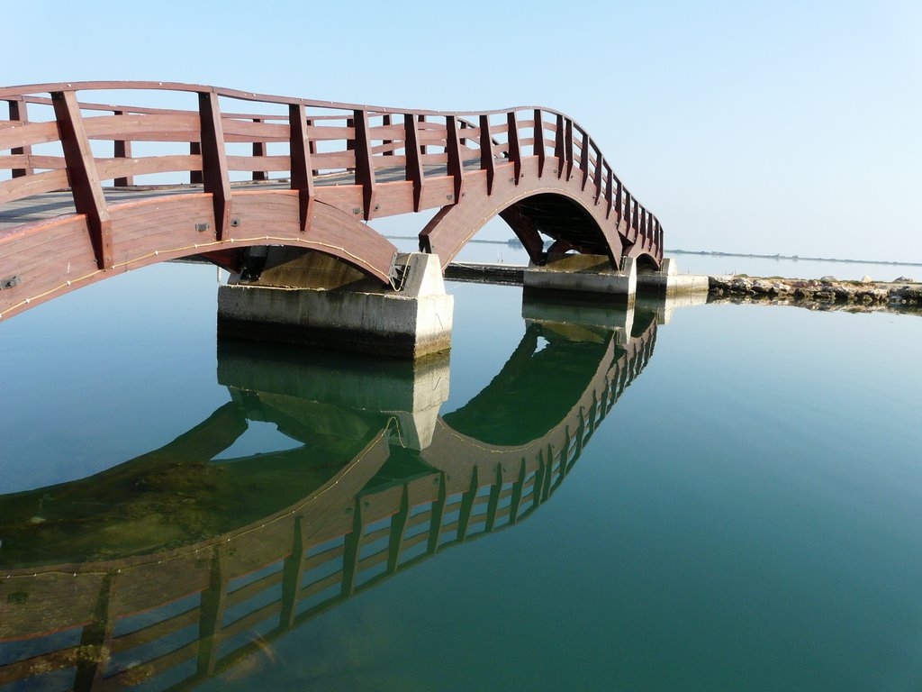 Red bridge and water mirror...nature beauty... by tsipro