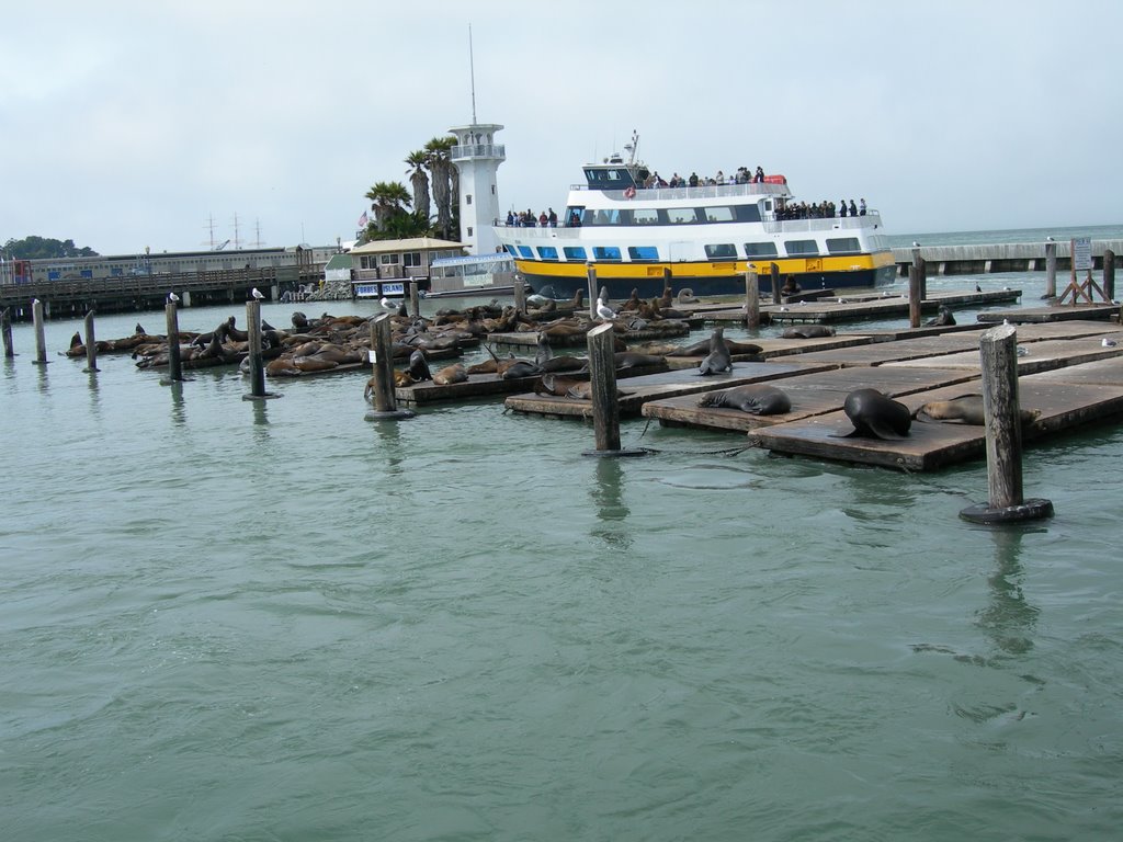 San Francisco Piers, USA by joe silke