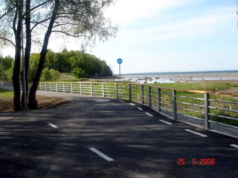 Recreation area at Baltic Sea coast in Rocca al Mare, Tallinn by Aleksandre Abuladze