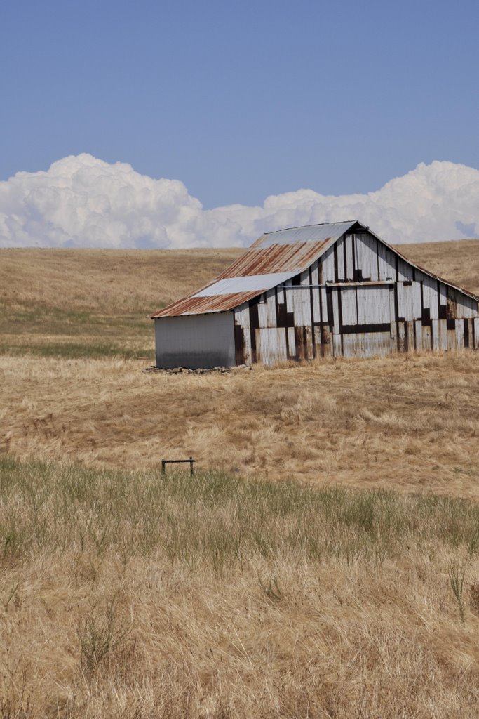 Barn on Michigan Bar Rd by Nancy Hayes