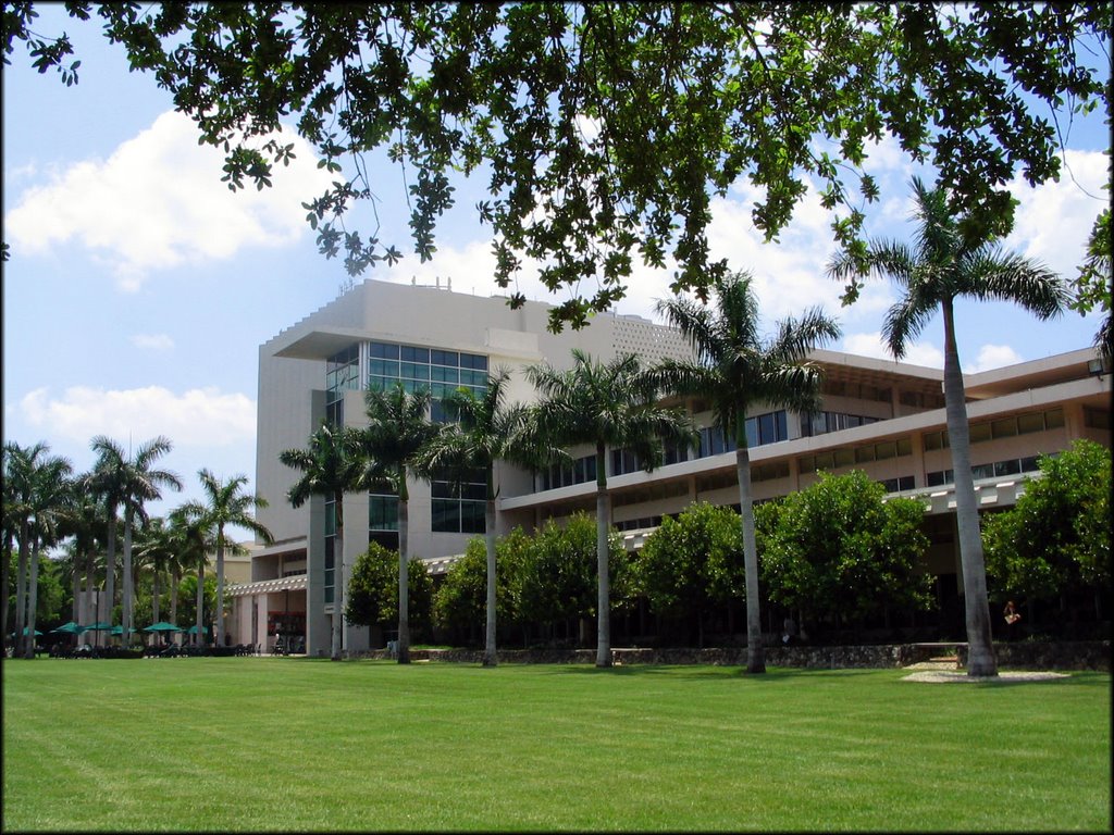 Library, University of Miami by DavidMSimpson