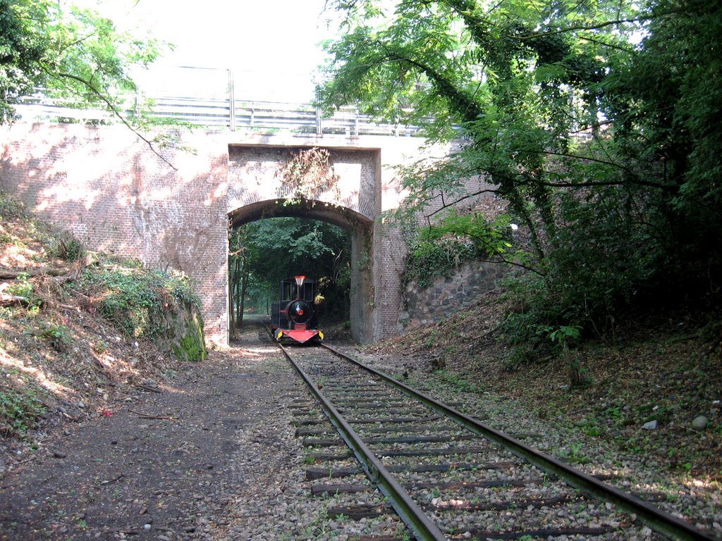 FERROVIA VALMOREA A MARNATE by br-roberto