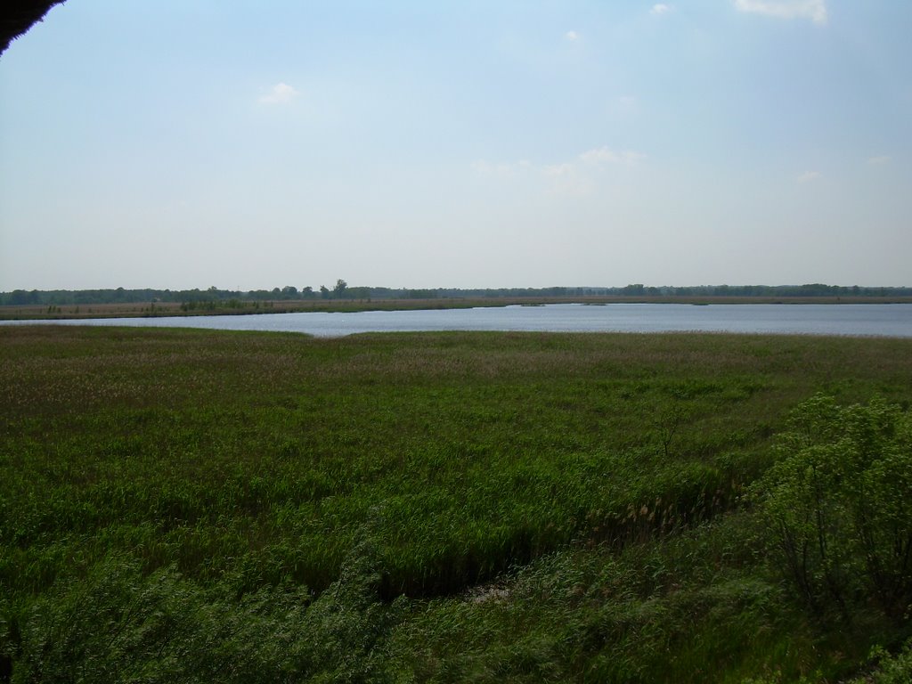 Swidwie Lake by Nuri In Poland