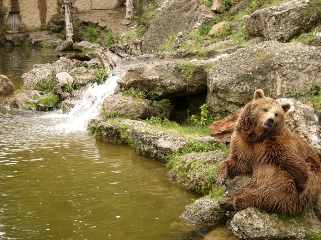 Salzburger Zoo by Herbij