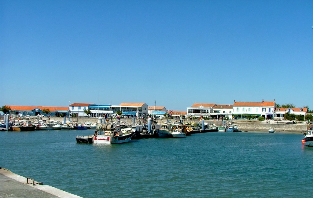 Ile d'Oléron, Port de La Cotinière by rv8427