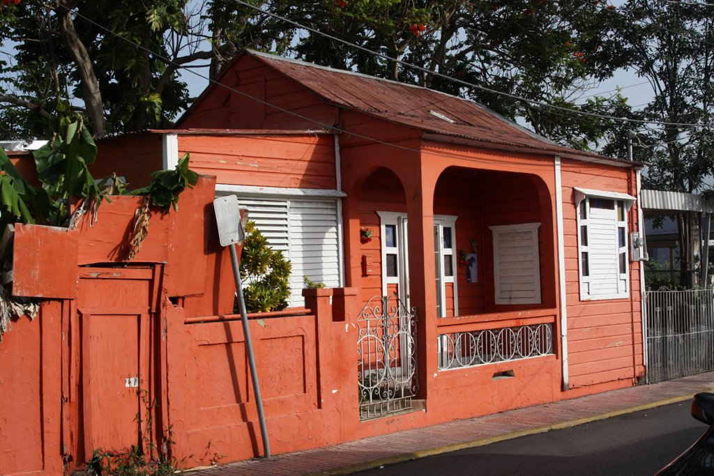 Casitas de Nuestra Gente Buena-Juana Diaz by Ricardo David Jusino