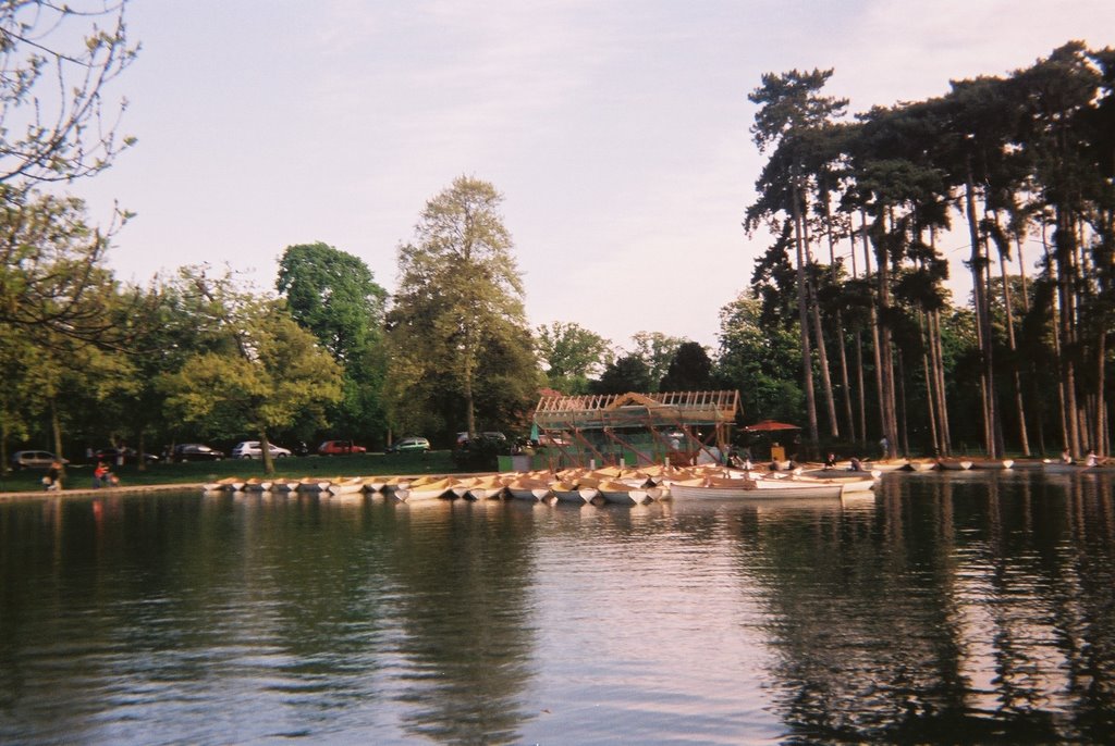 Barques a rame by Björgvin Asgeirson