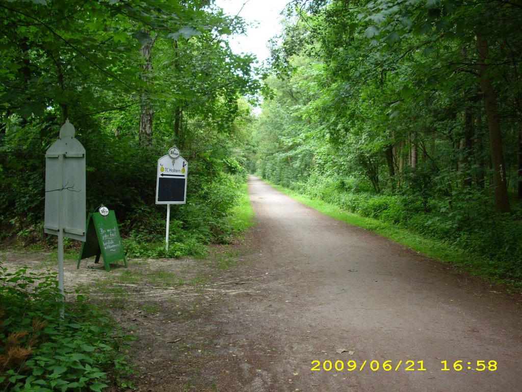 H©) Juni 2009 / Am Halterner Stausee - Nordseite / Am See entlang oder zum Bierzelt ? by Hannes Th.