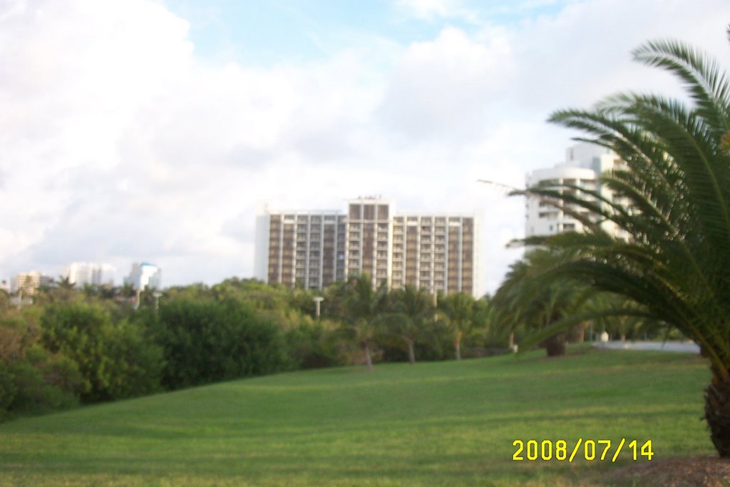 Hyatt Sarasota by Andrew J Graves