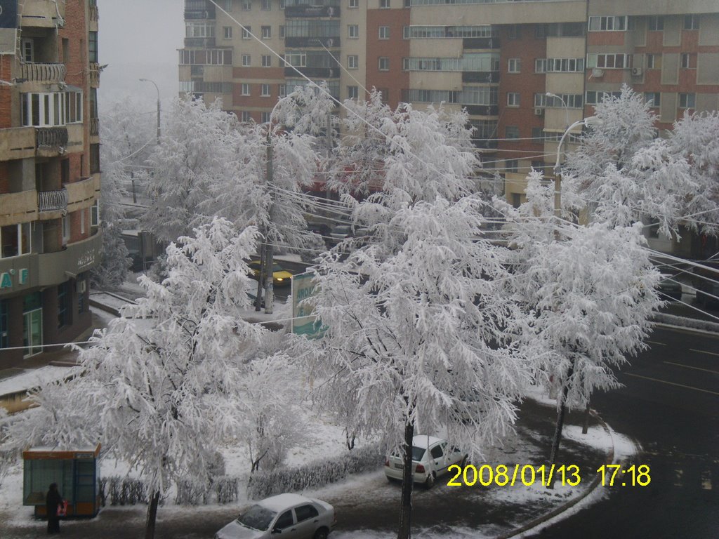 Buzau-winter by marin ion