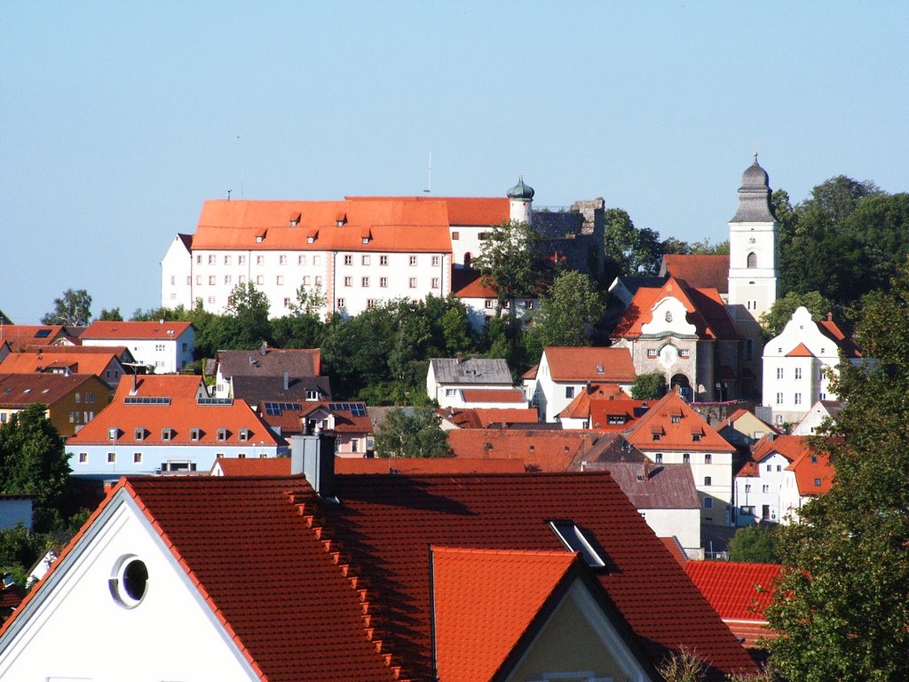 Blick auf die Parsberger Burg by olaffreier