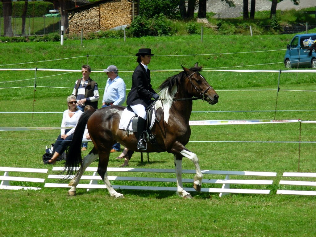 Passion équestre à Château-d'Oex / 28 juin 2009 by Mandala8