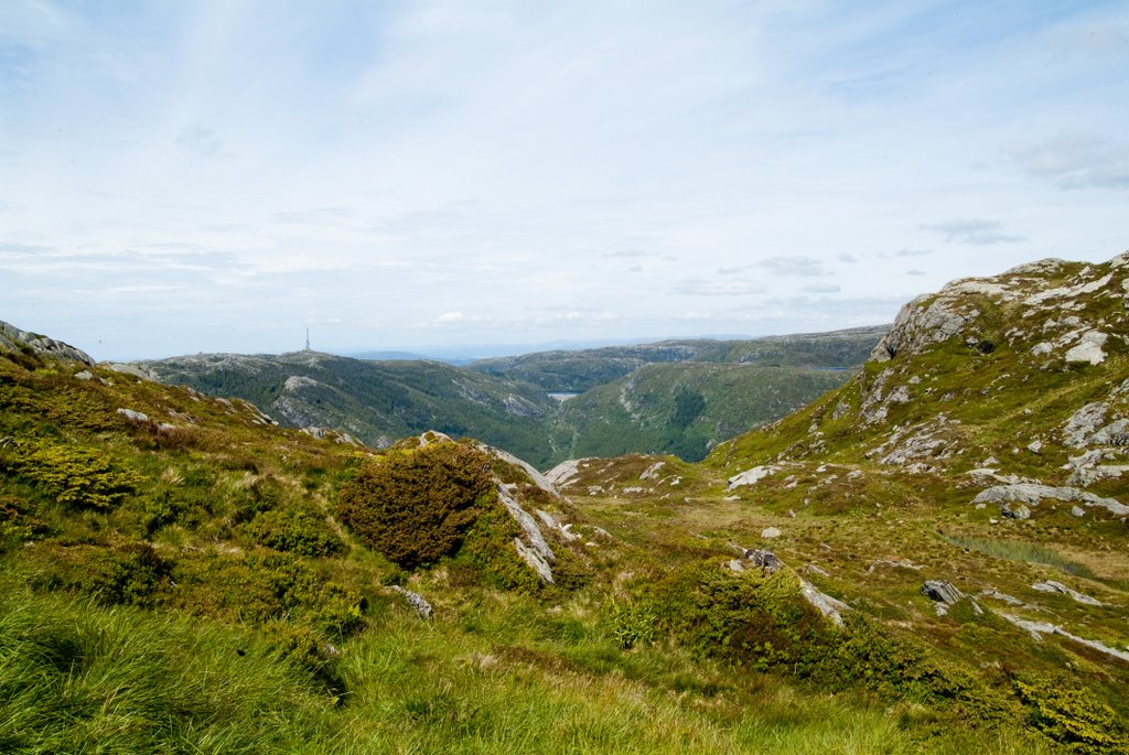 View from 643, Bergen, Norway by digitography