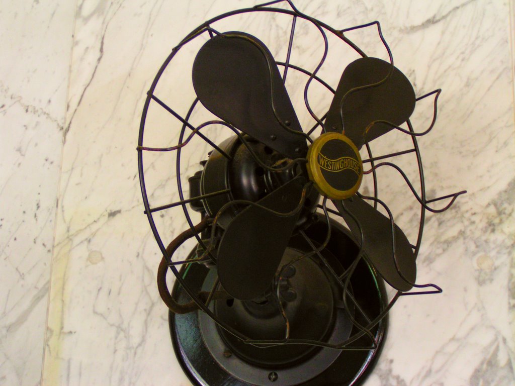 Old Fan by David Brooks