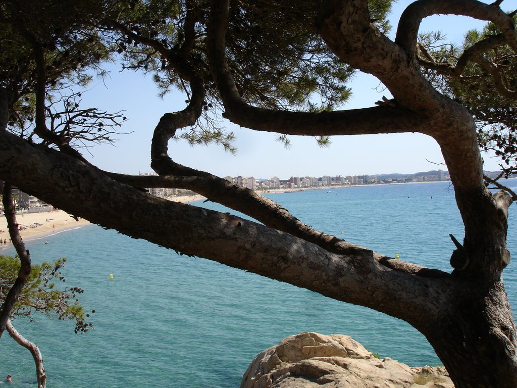 Imagen de la COSTA BRAVA,en sant antoni de calonge.junio-2009 by ROBERT MORANCHO