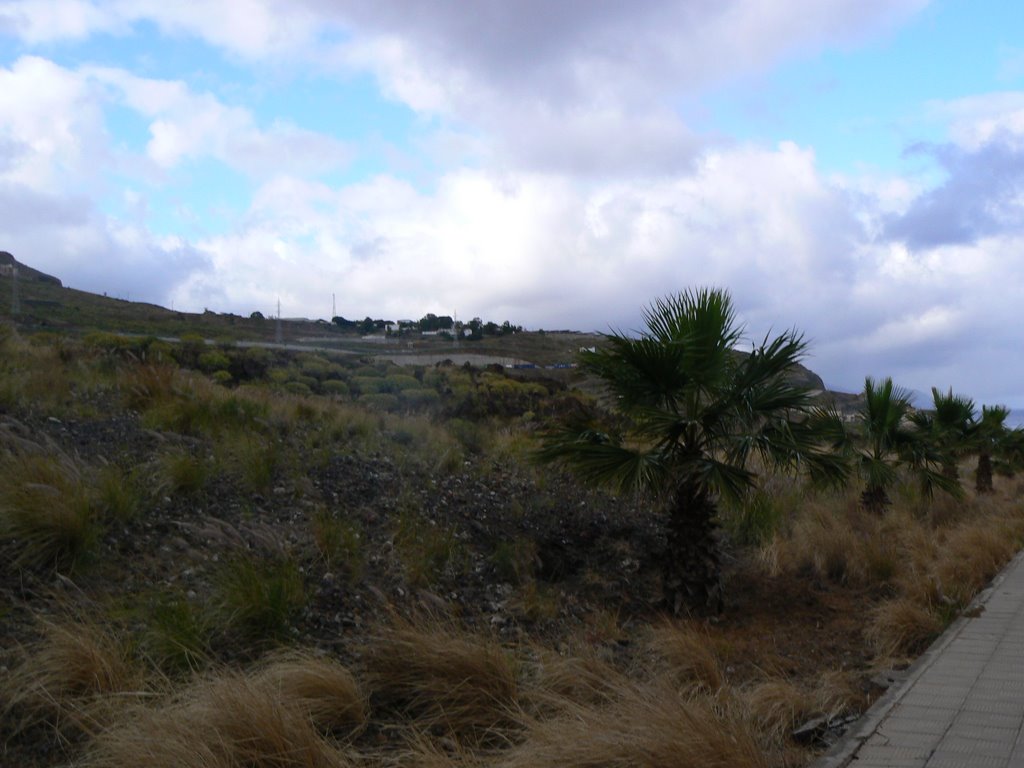 Fincas entre Hoya Fría y Añaza, vista desde la Urb. Solomar by diosdemar